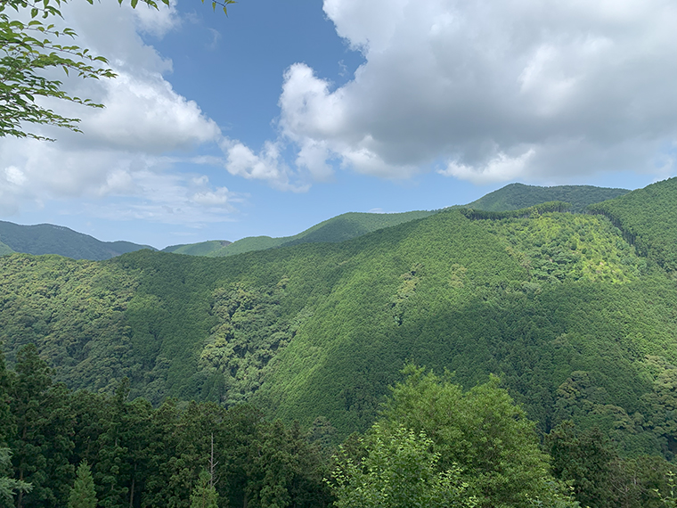 紀伊半島南部に約6000ヘクタールの自社林を所有する山長商店